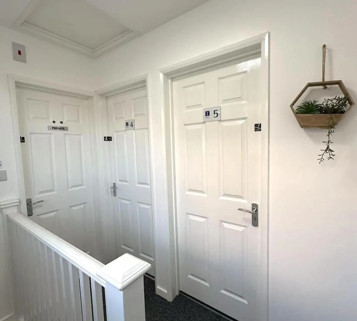 Newmarket Road Studios And Suites By Tas Accommodations Cambridge  0*,